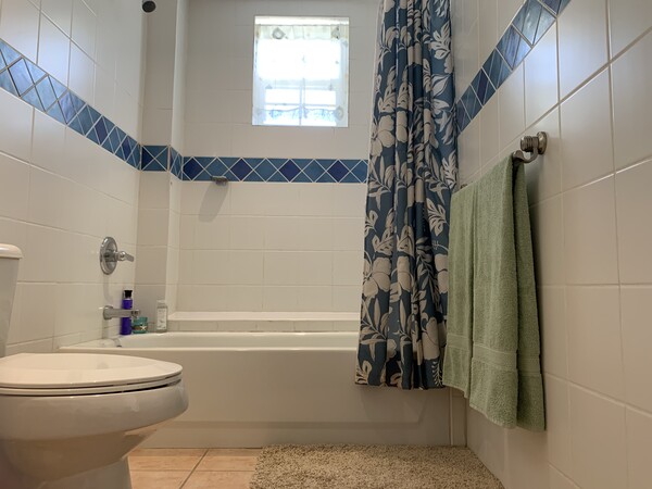 Picture of Master bathroom 