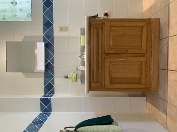 Picture of Master bathroom 