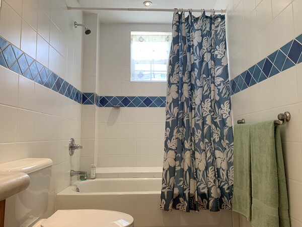 Picture of Master bathroom 