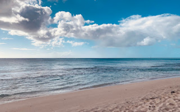 Picture of Dark wood beach 