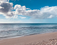 Picture of Dark wood beach 